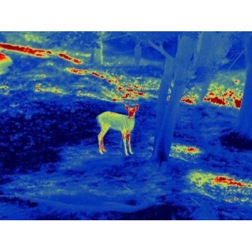 Прицел тепловизионный GUIDE TS450 в Бийске