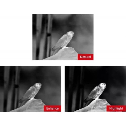 Тепловизионный бинокуляр Guide TN430 400х300, ø35мм, лазерный дальномер в Бийске