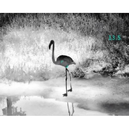 Тепловизионный бинокуляр Guide TN430 400х300, ø35мм, лазерный дальномер в Бийске