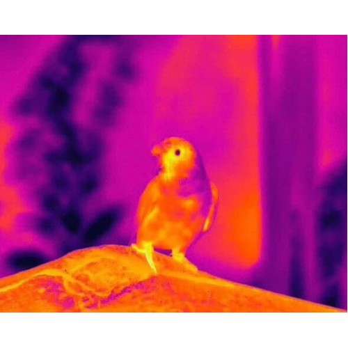 Тепловизионный бинокуляр Guide TN430 400х300, ø35мм, лазерный дальномер в Бийске